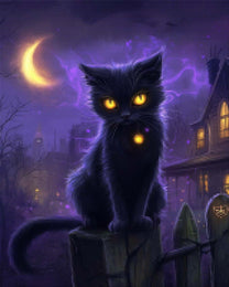 Yellow-Eyed Black Cat