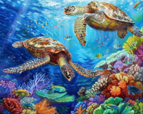 Turtle Father And Son