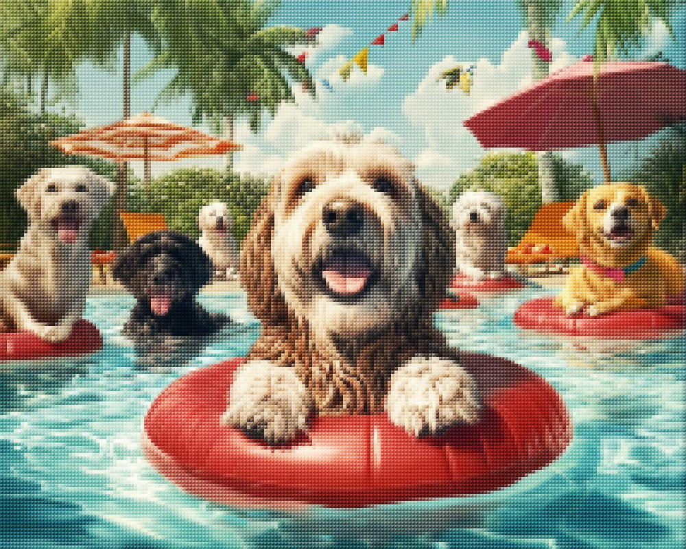 Dogs Around Swimming Pool