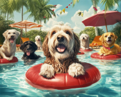Dogs Around Swimming Pool