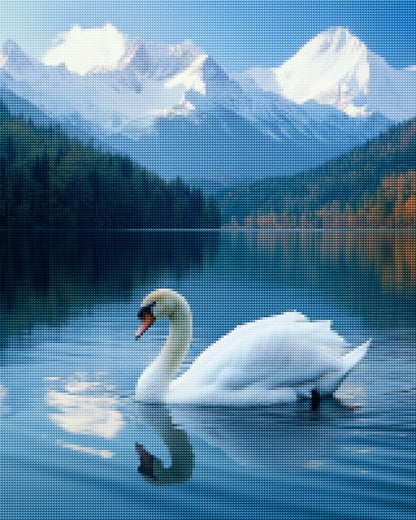 Elegant Swan on Calm Lake