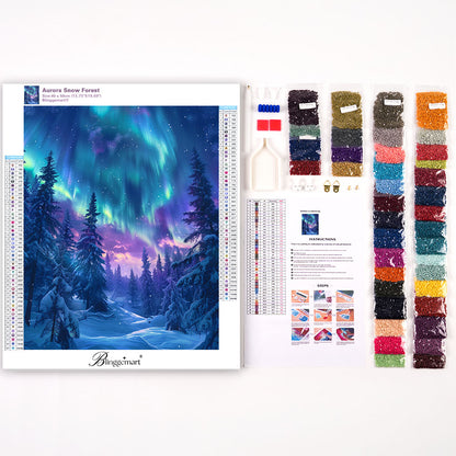 Aurora Snow Forest