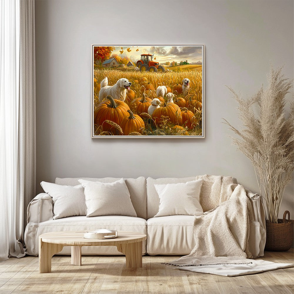 Dogs in Pumpkin Field