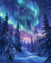 Aurora Snow Forest