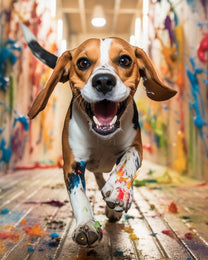 Paint Splash Beagle