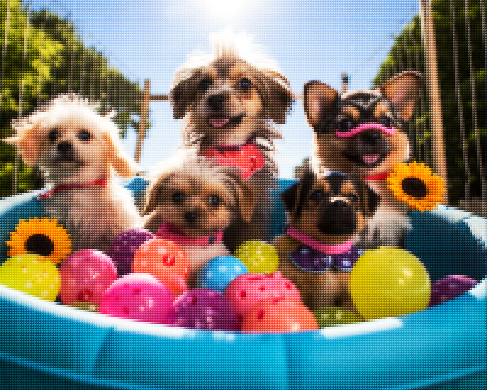 Puppy Pool Day