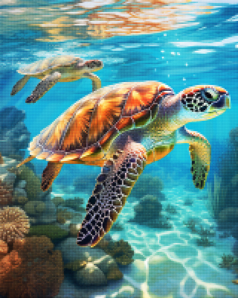 Sea Turtles