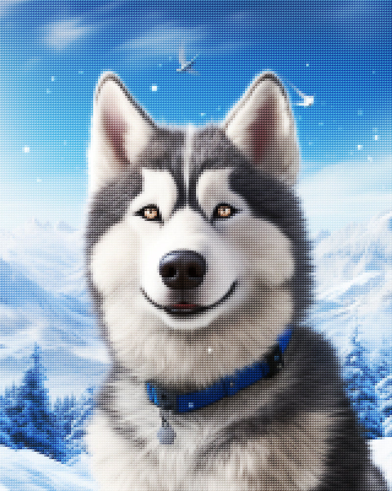 Winter Husky