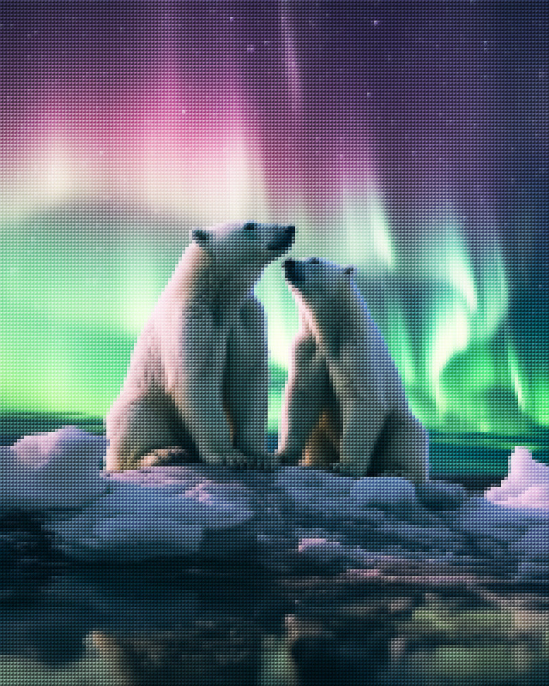 Aurora Bears