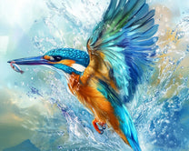 Kingfisher Diving for Fish